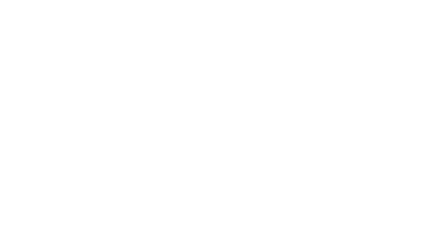 Audio Vivo